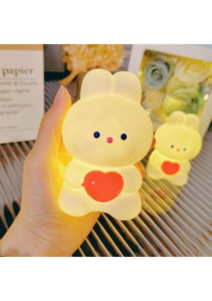 Işıklı Gece Lambası Doğum Günü Hediyesi (Yurt Dışından)