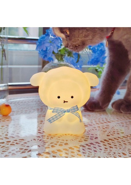 Işıklı Gece Lambası Doğum Günü Hediyesi (Yurt Dışından)