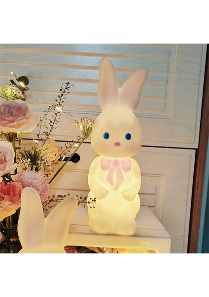 Işıklı Gece Lambası Doğum Günü Hediyesi (Yurt Dışından)