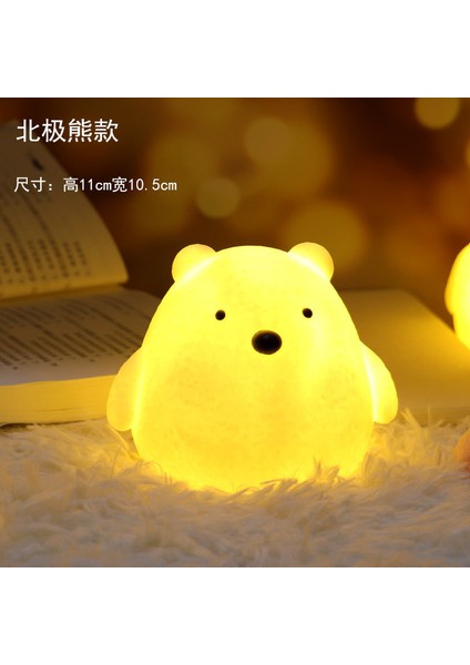 Işıklı Gece Lambası Doğum Günü Hediyesi (Yurt Dışından)