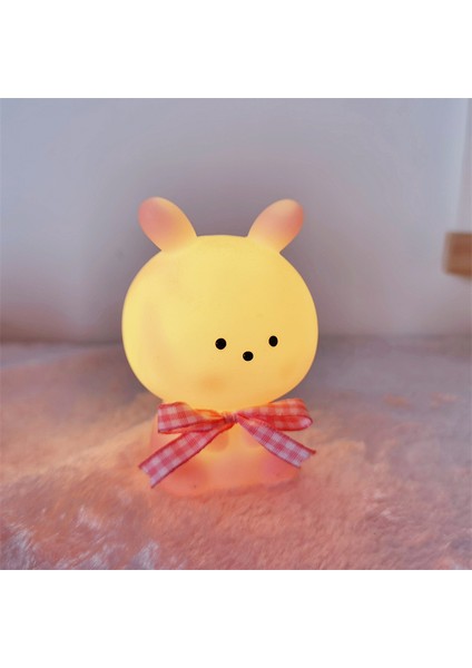 Işıklı Gece Lambası Doğum Günü Hediyesi (Yurt Dışından)