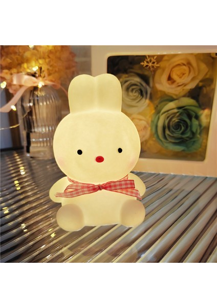 Işıklı Gece Lambası Doğum Günü Hediyesi (Yurt Dışından)