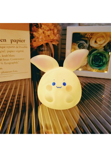 Işıklı Gece Lambası Doğum Günü Hediyesi (Yurt Dışından)