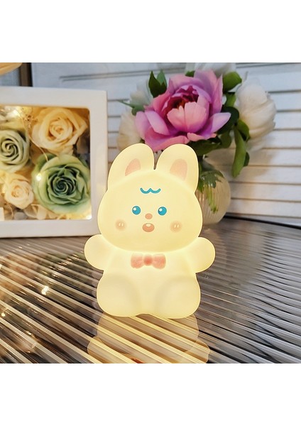 Işıklı Gece Lambası Doğum Günü Hediyesi (Yurt Dışından)