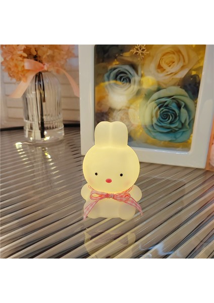 Işıklı Gece Lambası Doğum Günü Hediyesi (Yurt Dışından)