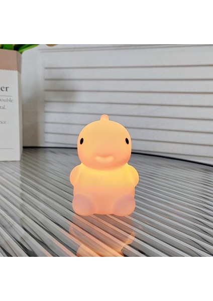 Işıklı Gece Lambası Doğum Günü Hediyesi (Yurt Dışından)