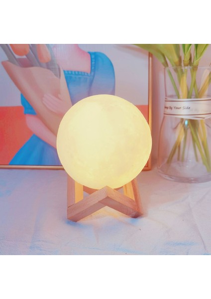 Işıklı Gece Lambası Doğum Günü Hediyesi (Yurt Dışından)