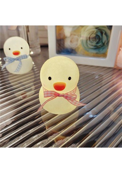 Işıklı Gece Lambası Doğum Günü Hediyesi (Yurt Dışından)