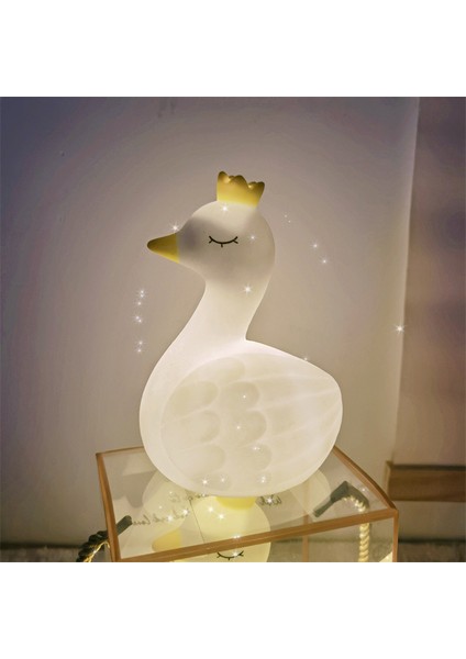 Işıklı Gece Lambası Doğum Günü Hediyesi (Yurt Dışından)