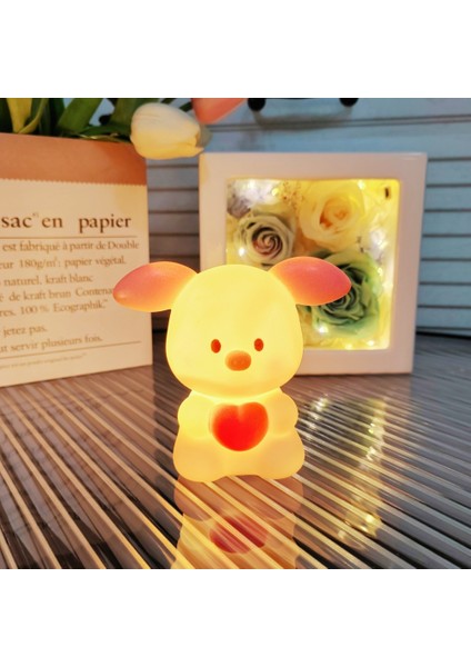 Gece Lambası Doğum Günü Eşliği (Yurt Dışından)