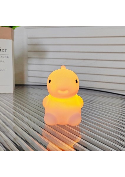 Gece Lambası Doğum Günü Eşliği (Yurt Dışından)