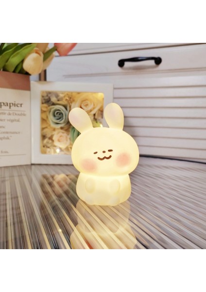 Gece Lambası Doğum Günü Eşliği (Yurt Dışından)