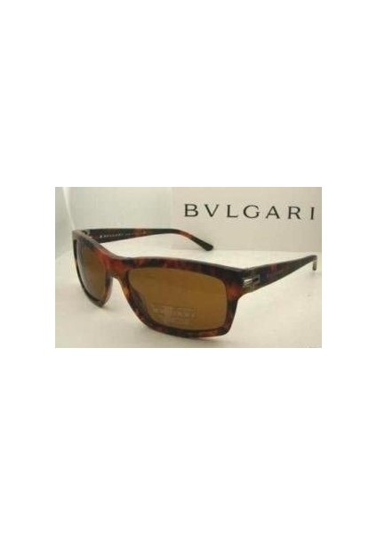Bvlgarı 7004 Crystal Havana Kahverengi Tortoise Shell Square Güneş Gözlüğü modelleri
