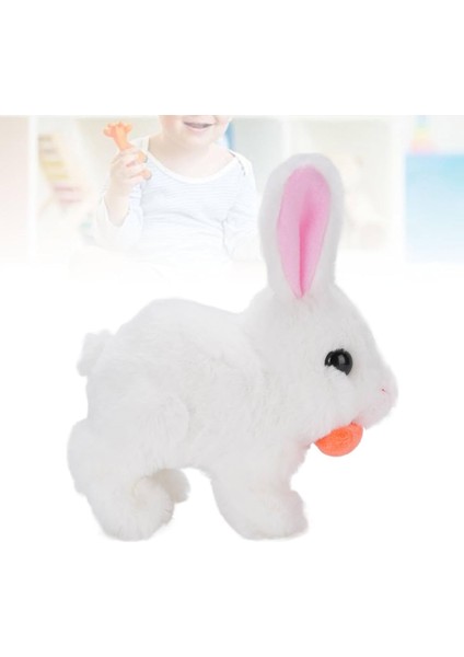 Işıklı Sesli Zıplayan Tavşan fırsatları