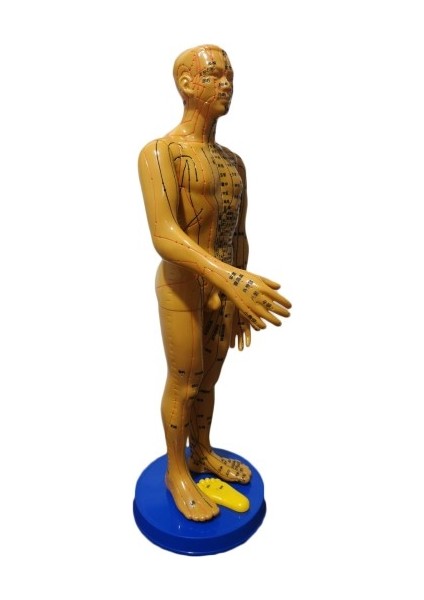 Akupunktur Insan Maketi