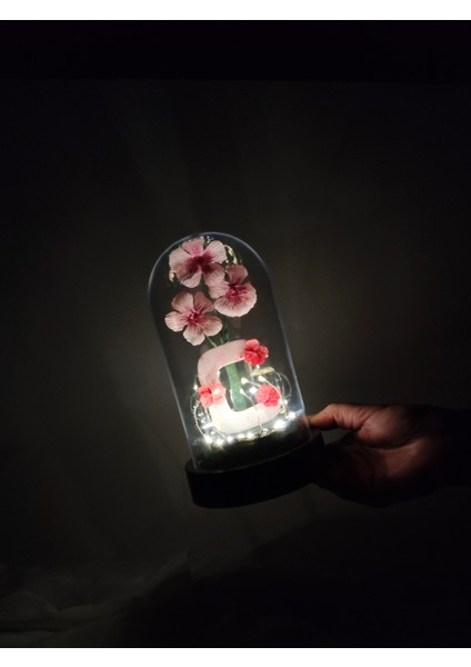 Dekoratif Ledli C Harfi, C Harfli Özel Cam Güzeli Çiçekli Teraryum Fanus, Hediyelik Fanus