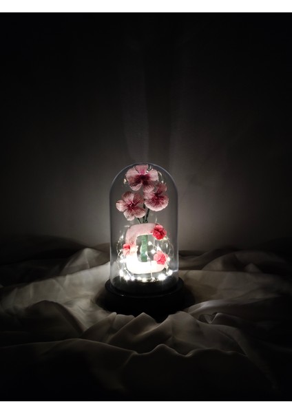 Dekoratif Ledli C Harfi, C Harfli Özel Cam Güzeli Çiçekli Teraryum Fanus, Hediyelik Fanus fiyatları