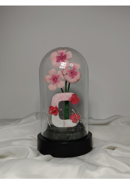 Dekoratif Ledli C Harfi, C Harfli Özel Cam Güzeli Çiçekli Teraryum Fanus, Hediyelik Fanus modelleri