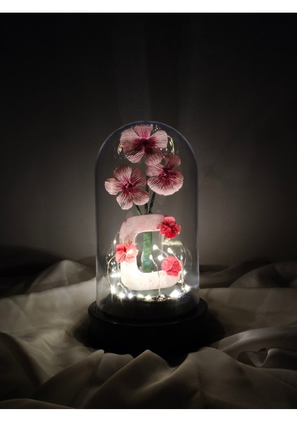 Dekoratif Ledli C Harfi, C Harfli Özel Cam Güzeli Çiçekli Teraryum Fanus, Hediyelik Fanus fırsatları