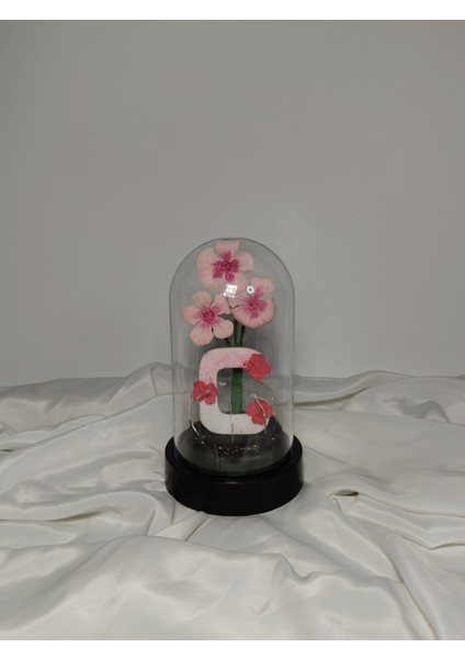 Dekoratif Ledli C Harfi, C Harfli Özel Cam Güzeli Çiçekli Teraryum Fanus, Hediyelik Fanus indirimleri