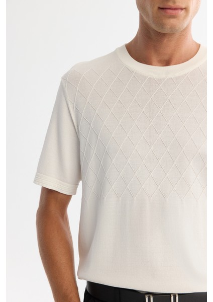 Erkek Ekru Bisiklet Yaka Jakarlı Rayon Triko Regular Fit T-Shirt A42Y5008