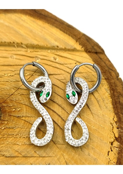 Gümüş Renk Figürlü Çelik Küpe fiyatları