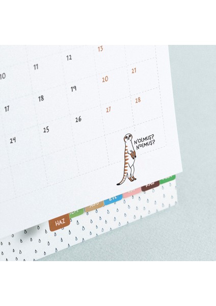 2026 Hisli Şeyler Takvimi & Kitap Seti fırsatları