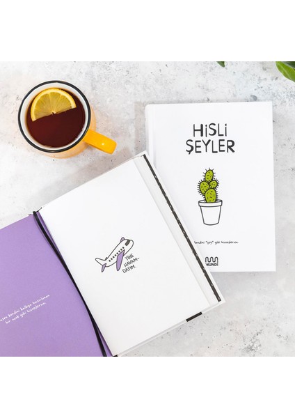 2026 Hisli Şeyler Takvimi & Kitap Seti indirimleri