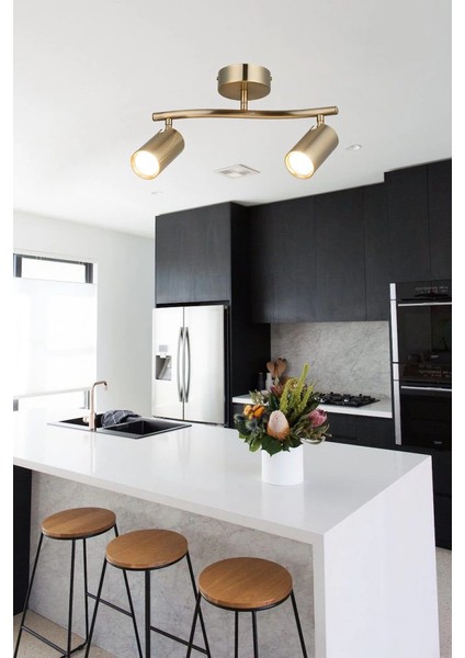 Spotte 2'li Antık Lak Plafonyer fiyatları