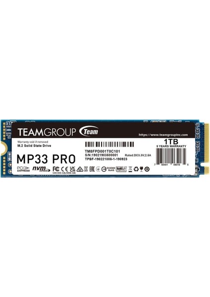 M33 Pro 1tb 3500/3000MB/S M.2 Pcıe 4.0 Nvme SSD TM8FPD001T0C101