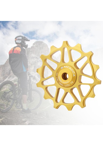 Arka Attırıcı Kılavuzu Dağ Alüminyum Attırıcı Yol 14T Altın (Yurt Dışından) modelleri