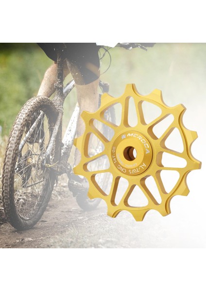 Arka Attırıcı Kılavuzu Dağ Alüminyum Attırıcı Yol 14T Altın (Yurt Dışından) indirimleri