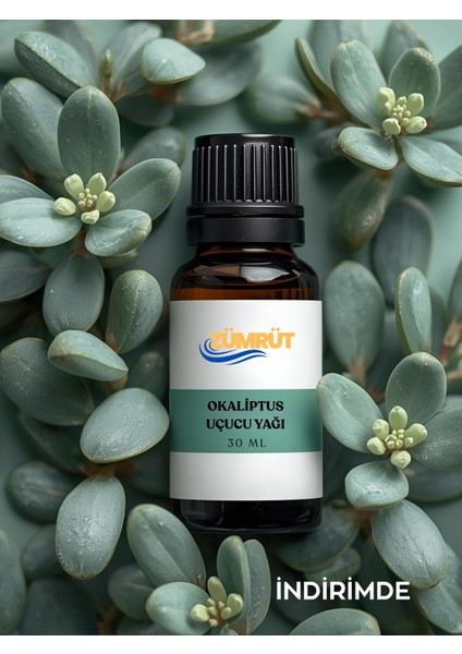 Okaliptüs Uçucu Yağ- Oda ve Ortam Kokusu - Aromatik Uçucu Yağ 30ML