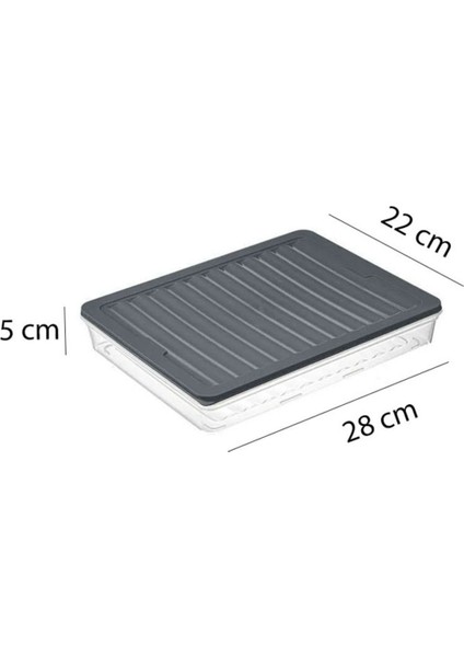 4 Adet 2500 ml Difriz Buzdolabı Saklama Kabı Buzdolabı Düzenleyici Mikrodalga Kabı fiyatları