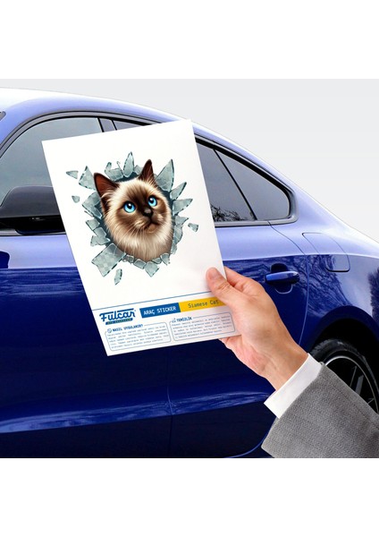 Fulcar Siamesse Araç Stickerı modelleri