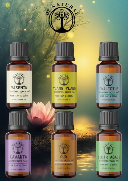 Derin Odak Set 6*10ML Esansiyel Uçucu Koku Yağı Aromaterapi Yağı Buhurdanlık Yağı Difüzör Esansı Ortam Oda Kokusu