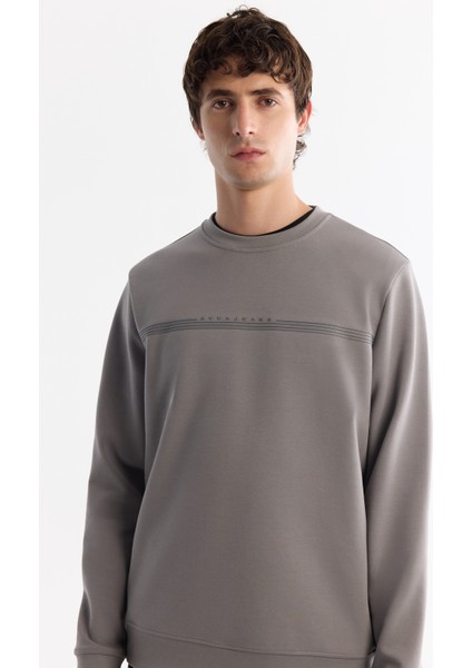 Erkek Gri Bisiklet Yaka Pamuklu Baskılı Elastan Regular Fit Sweatshirt A42Y1267