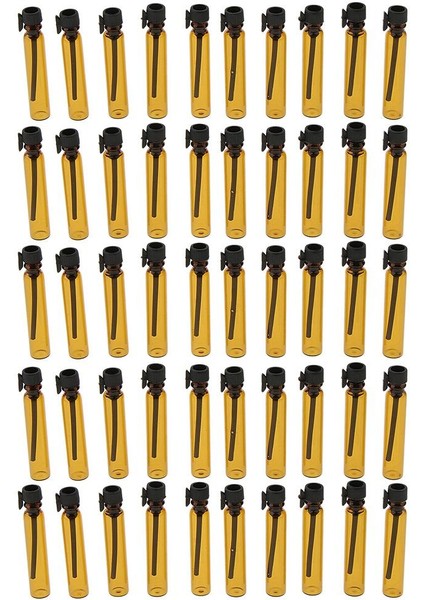 50 Cam Numune Şiş Boş Şiş 2ml Kaplar (Yurt Dışından)