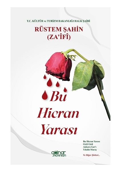 Bu Hicran Yarası