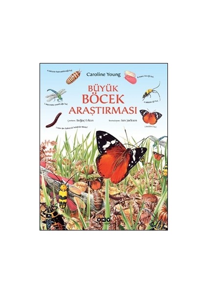 Büyük Böcek Araştırması