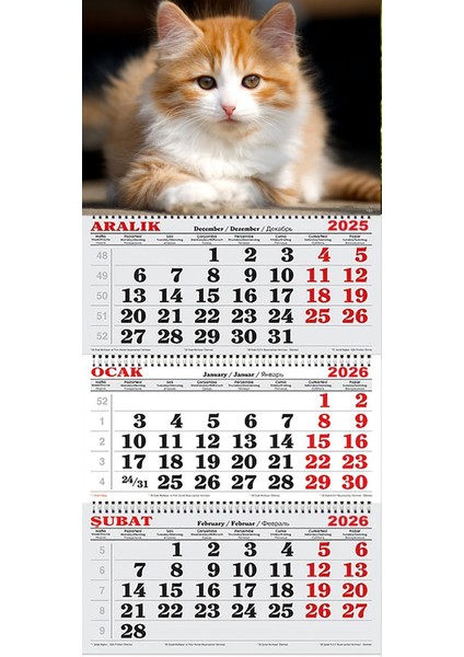 2026 Yılı Gemici Takvimi-Cymric Cins Kedi