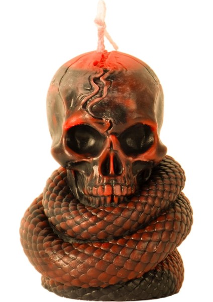 Ayrıntılı Yılanlı Kurukafa Silikon Mum Kalıbı Epoksi Reçine Taş Tozu Mum Kek Pasta Süsleme Kalıp modelleri