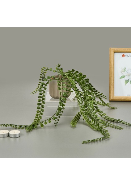 Living Mika Saksılı Okaliptüs Sarkıtı - Yeşil / Bej