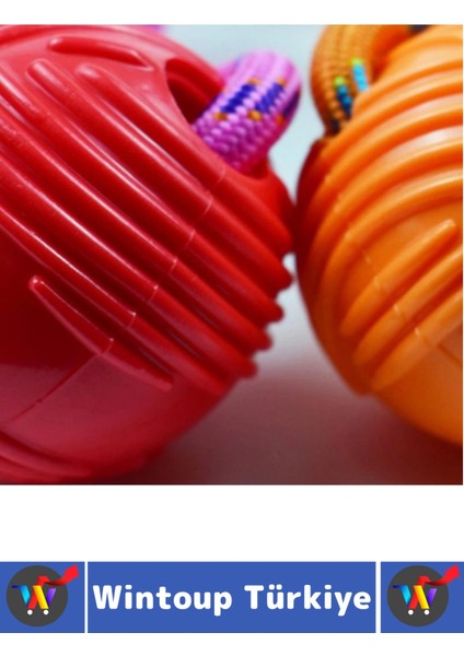 Evcil Hayvan Ağız Diş Sağlığı Kaşıma Çiğneme Temizleme Eğlenceli Vakit Kauçuk Top Köpek Oyuncağı modelleri