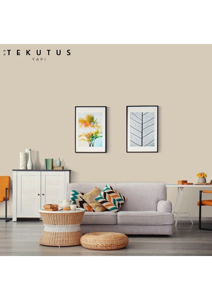 Momento Silan Silikonlu Iç Cephe Boyası 15 L 060/Cİ-6342 Sahra Beji modelleri