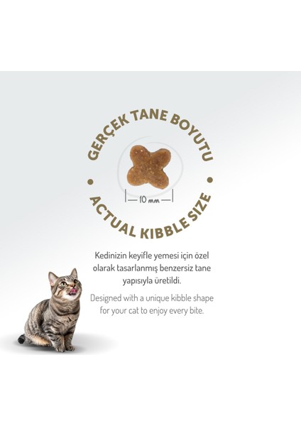 Kolajen Destekli Hipoalerjenik Tavuklu Yavru Kedi Maması 2KG