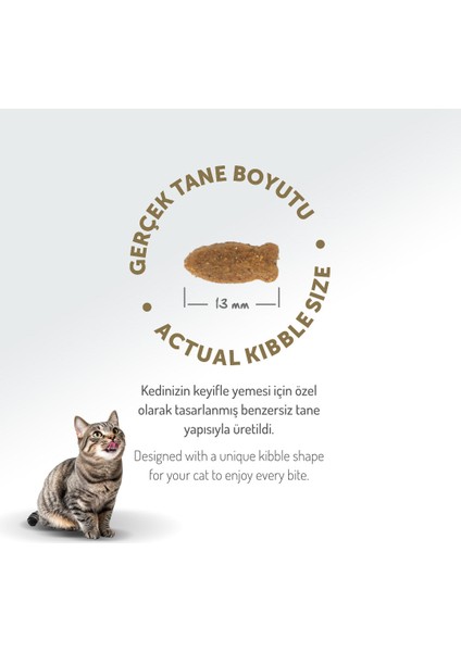 Kolajen Destekli Hipoalerjenik Somonlu Yetişkin Kedi Maması 12KG