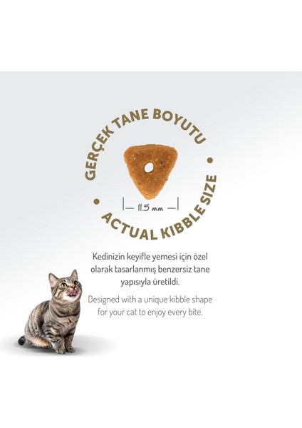 Kolajen Destekli Hipoalerjenik Somonlu Kısırlaştırılmış Yetişkin Kedi Maması 12KG