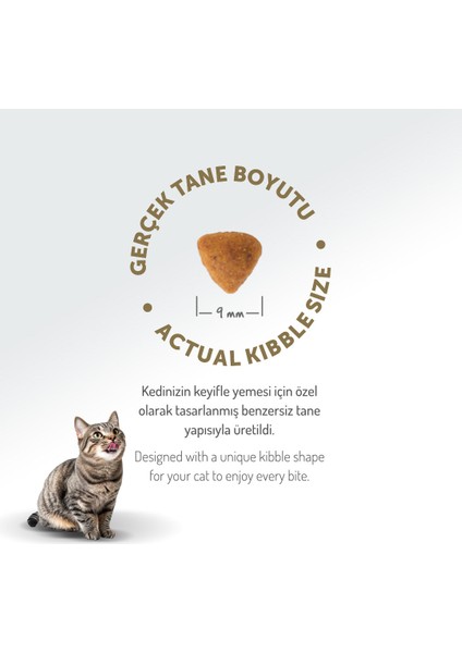 Kolajen Destekli Hipoalerjenik Tavuklu Kısırlaştırılmış Yetişkin Kedi Maması 2KG