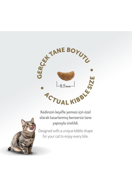 Kolajen Destekli Hipoalerjenik Kuzulu Yetişkin Kedi Maması 2KG